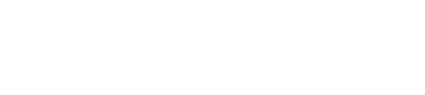 FLUKE NETWORKS